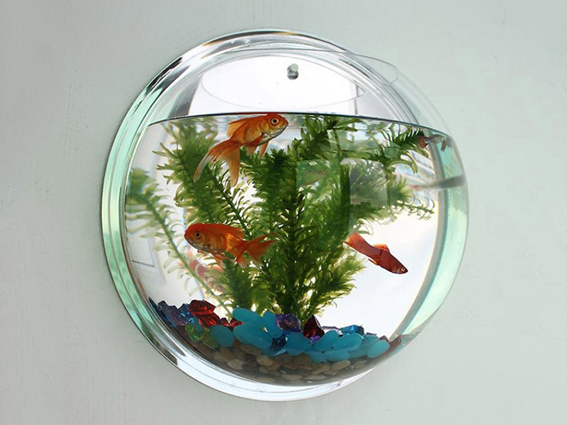 掛墻式亞克力半圓魚(yú)缸