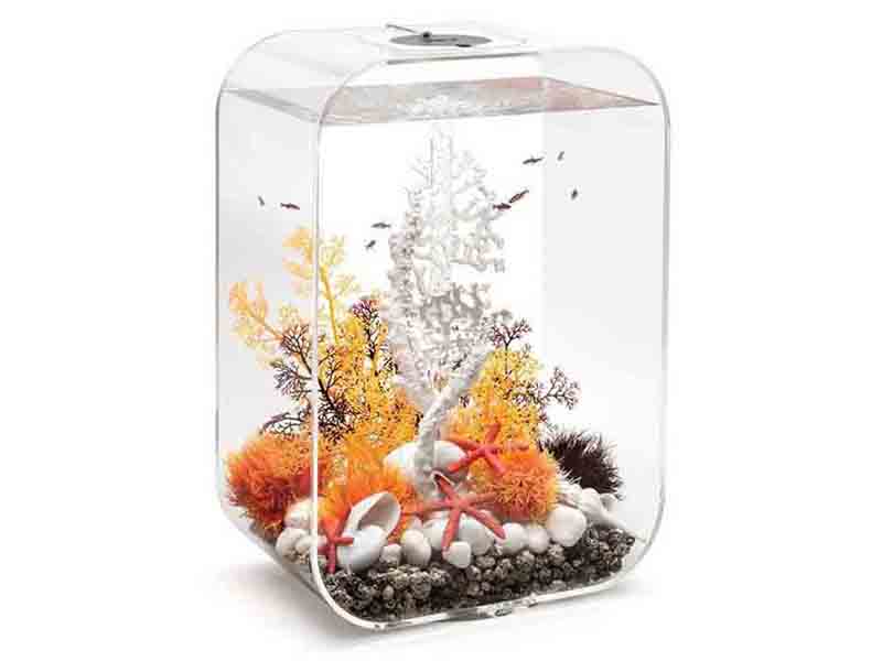 方形圓角亞克力小魚(yú)缸