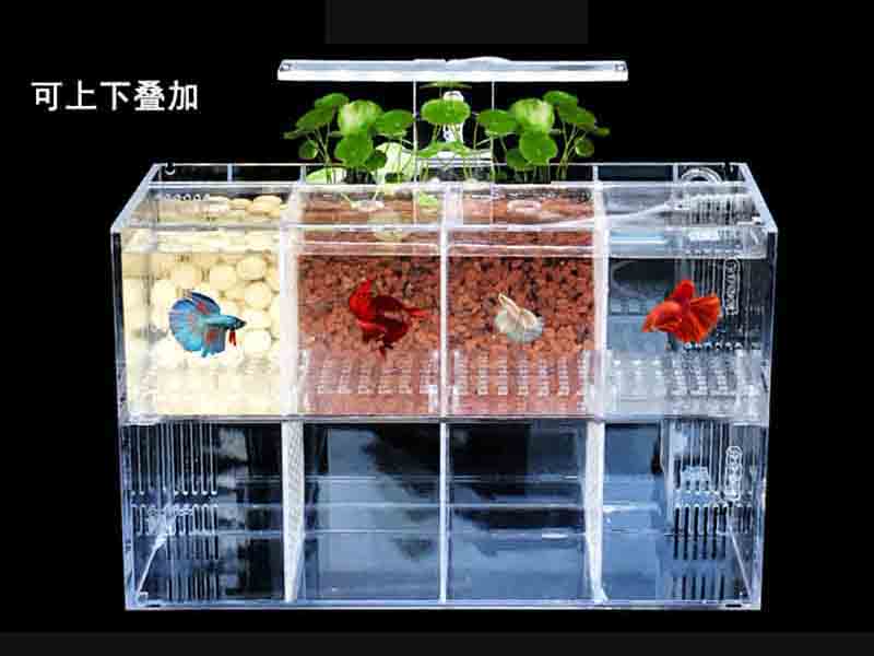 長(zhǎng)方形多格斗魚(yú)亞克力魚(yú)缸廠家定制